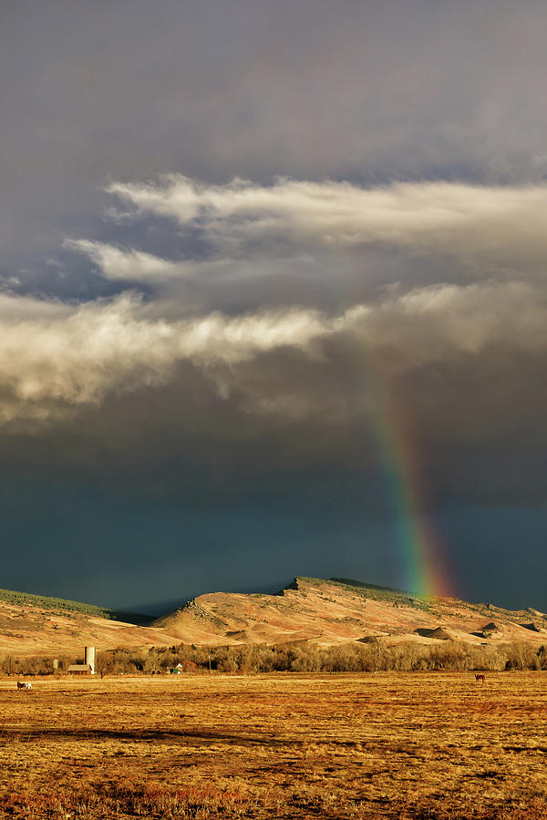 Winter Rainbow Stretches High Over a Farm Photograph by Tony Hake