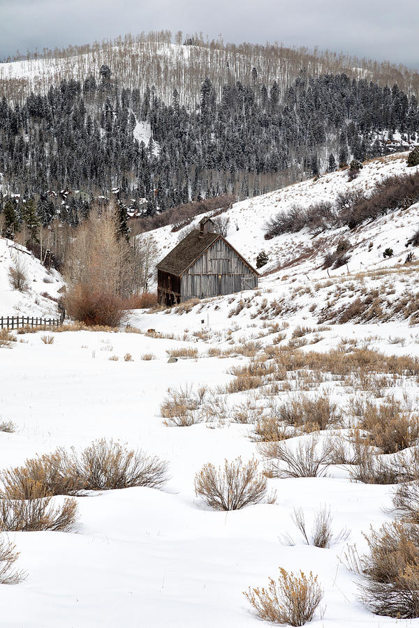 Winter Ranch Nostalgia Photograph by Denise Bush