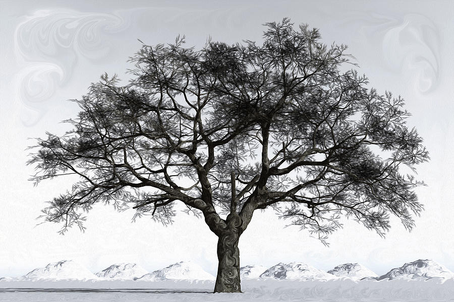 Winter Reflection Digital Art by Brandi Untz