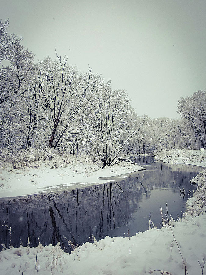 Winter Reflections Photograph by Andrea Whitaker