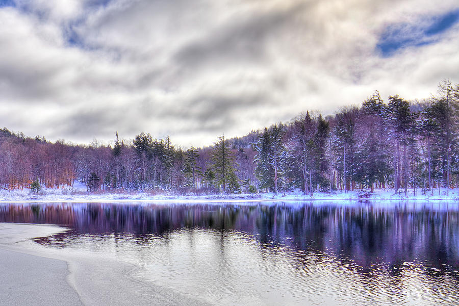 Winter Reflections Photograph by David Patterson