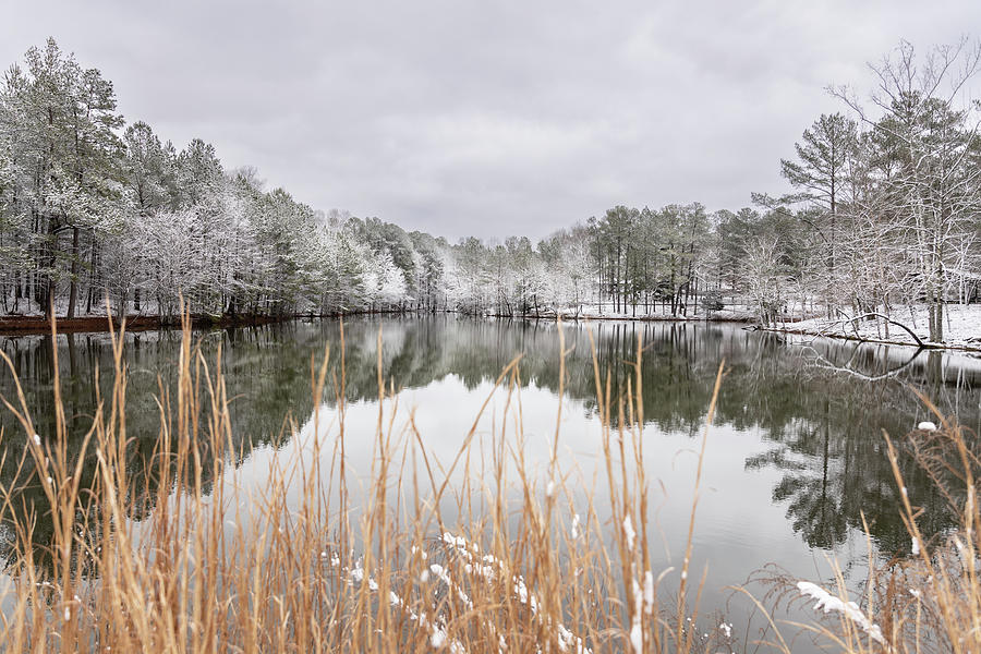 Winter Reflections on Bowie Lake Photograph by Debbie Karnes
