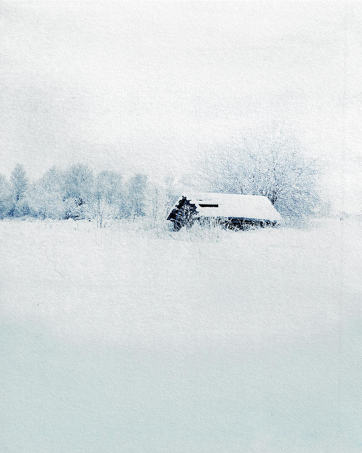 Winter Refuge Mixed Media by Colleen Taylor