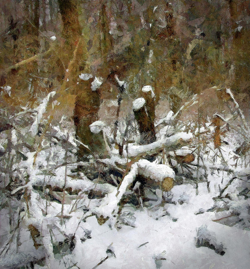 Winter Remnants Photograph by Cedric Hampton