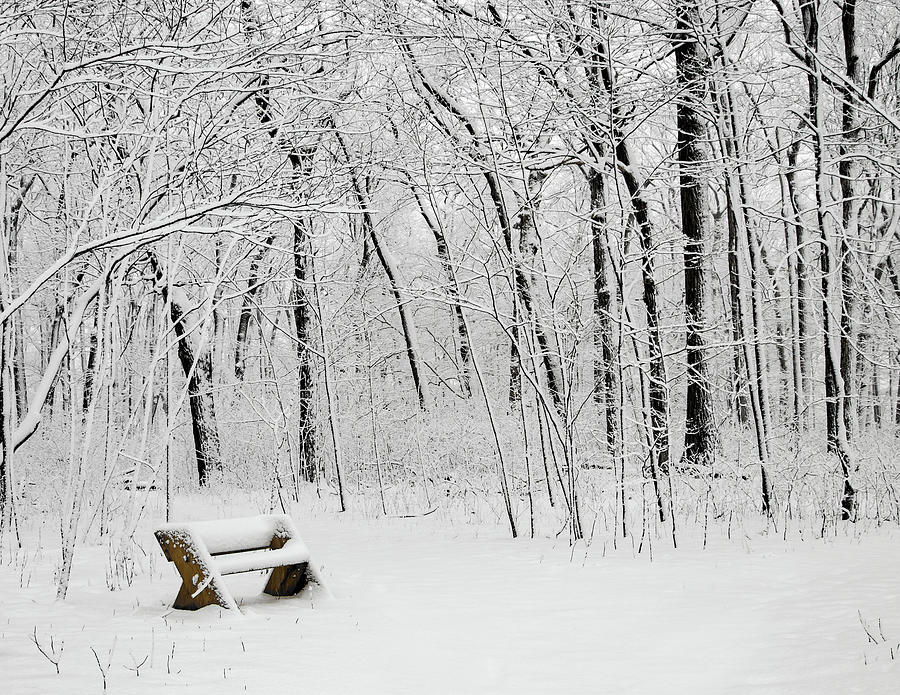 Winter Rest Stop Photograph by Steve Bell