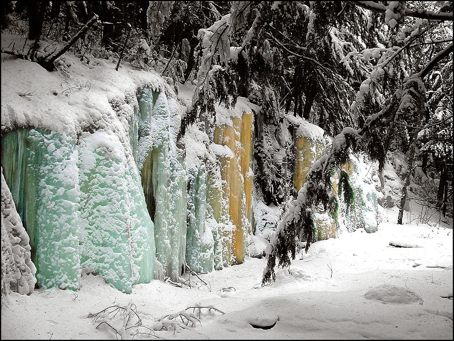 Winter Revelation Photograph by Wayne King
