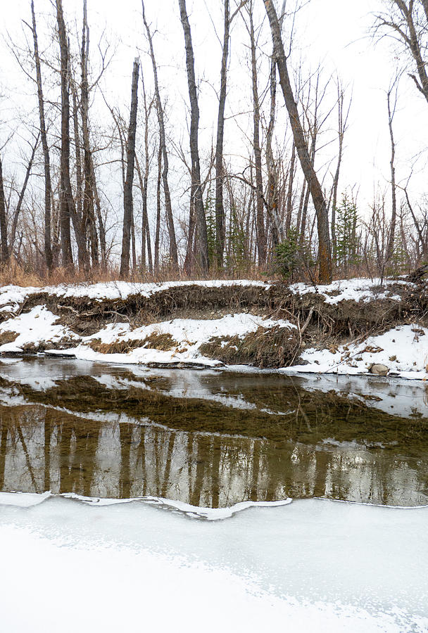 Winter Photograph - Winter River by Phil And Karen Rispin