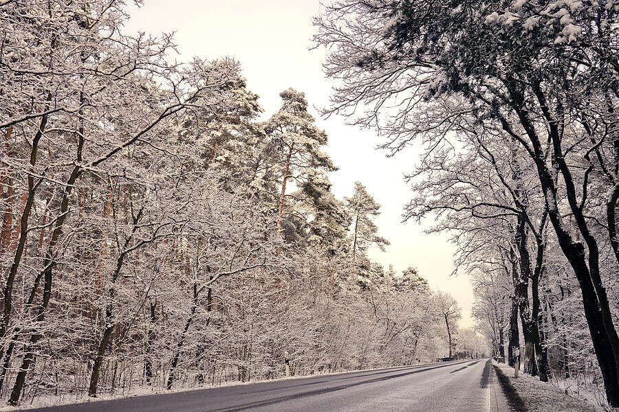 Winter Road Photograph by Bernd Schunack