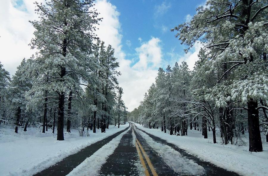 Winter Road In Flagstaff Photograph by Caroline Haldeman - Fine Art America