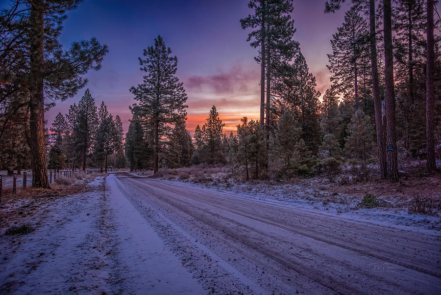 Winter Road in Oregon Photograph by Bill Posner