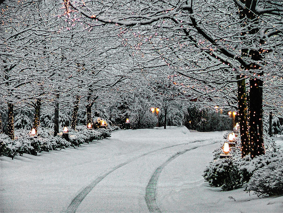 Winter road Photograph by John Linnemeyer