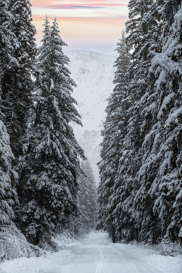 Winter Roads Photograph by Scott Slone