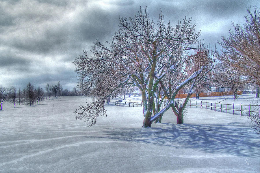 Winter Photograph by Robert Harris