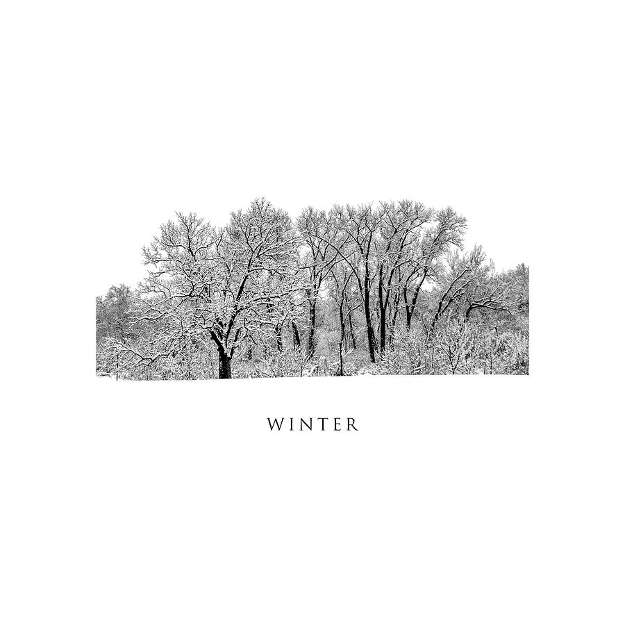 Winter #67 Photograph
