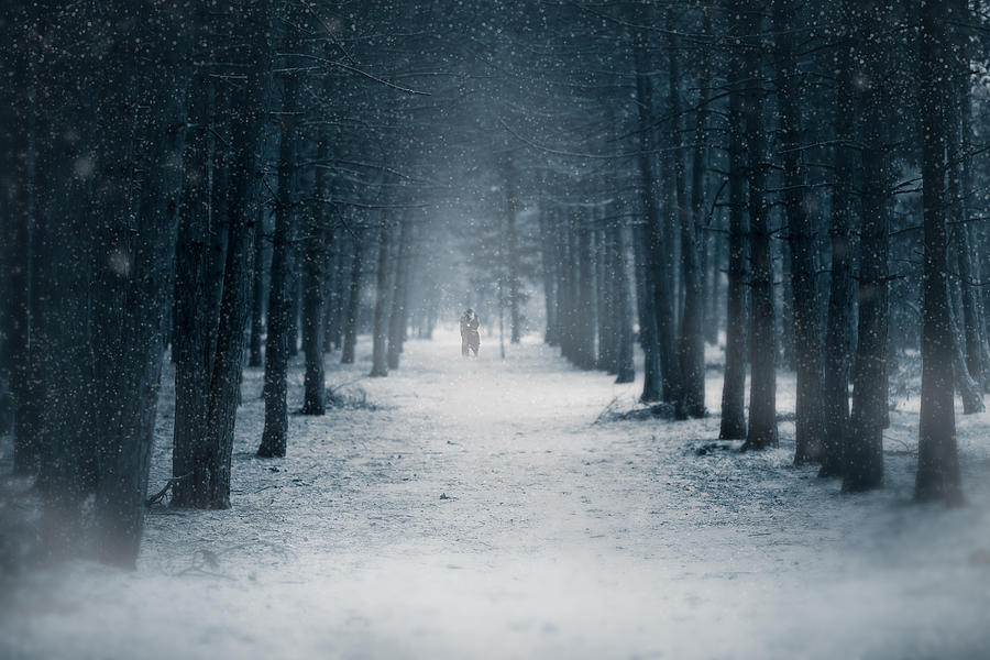 Winter Romance Photograph by Thousand Word Images by Dustin Abbott