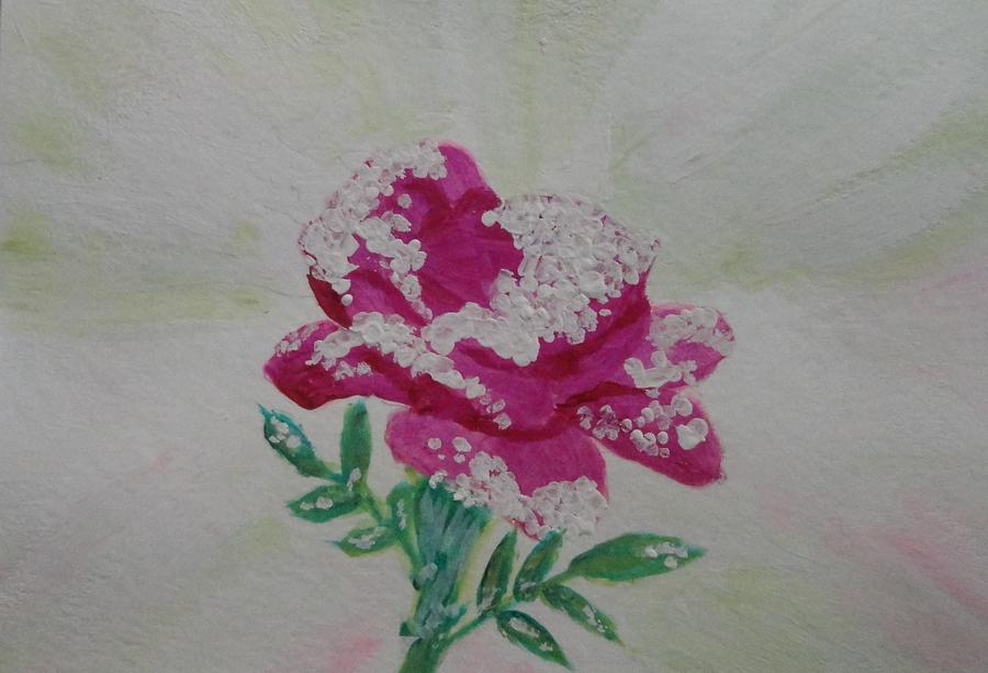 Winter Rose  Painting by Rosie Foshee