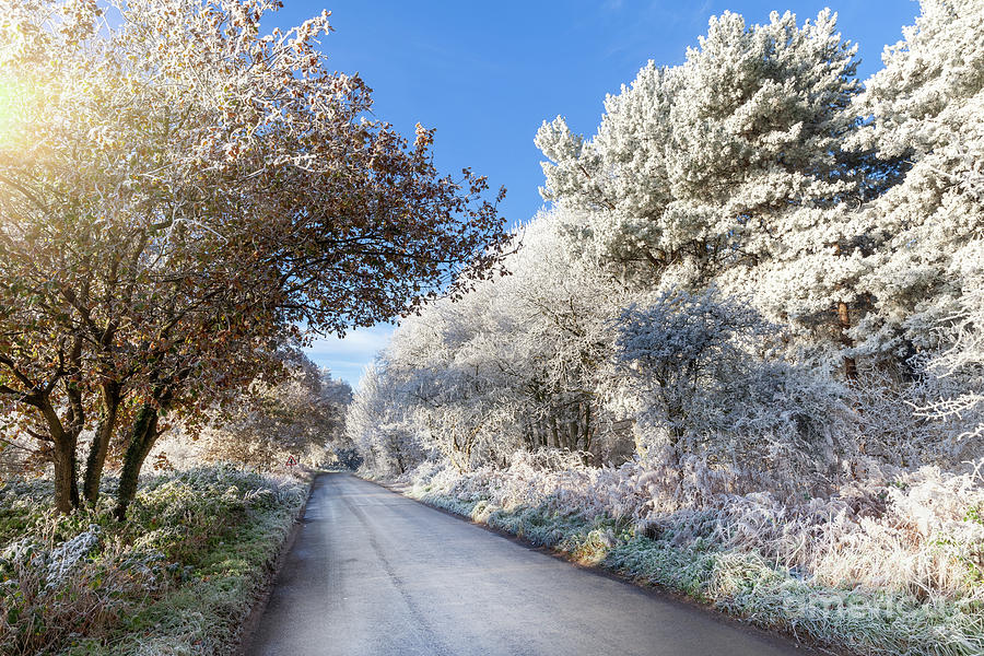 Winter rural road with frozen ice trees Photograph by Simon Bratt