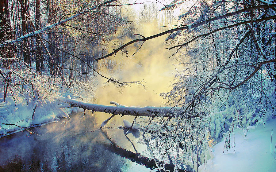 Winter Photograph - Winter Scene Along Hiking Trail by Sandi OReilly