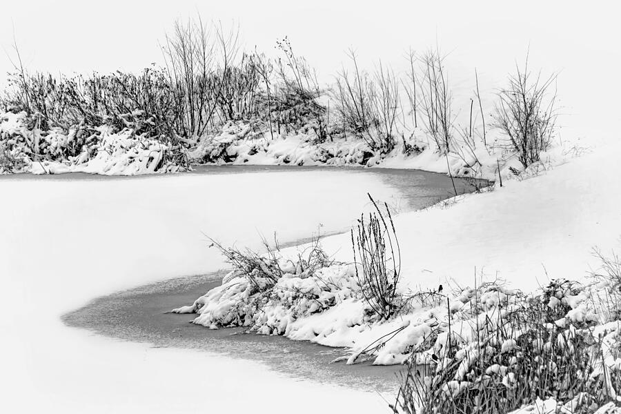 Winter Scene at Central Park - La Vista, Nebraska - BW Photograph by Nikolyn McDonald