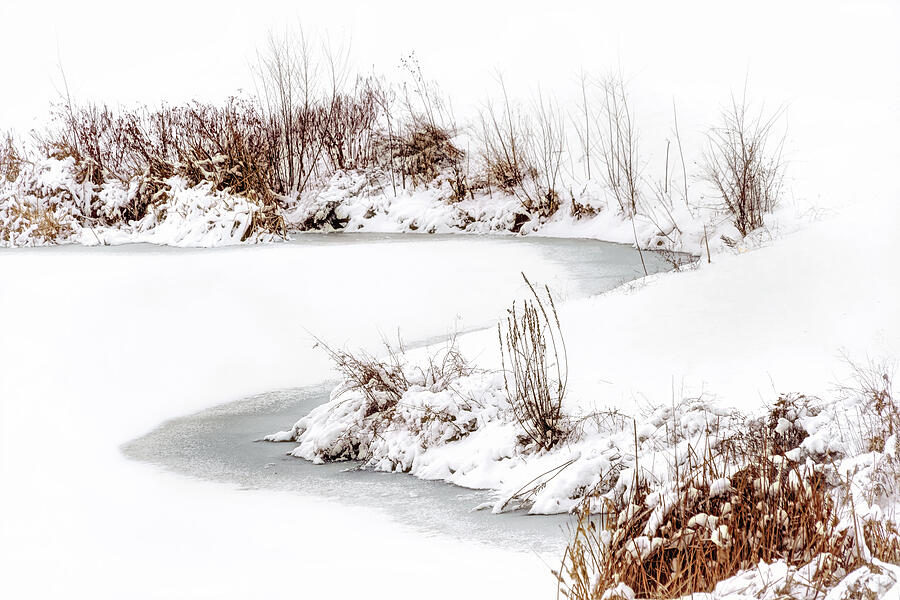 Winter Scene at Central Park - La Vista, Nebraska Photograph by Nikolyn McDonald