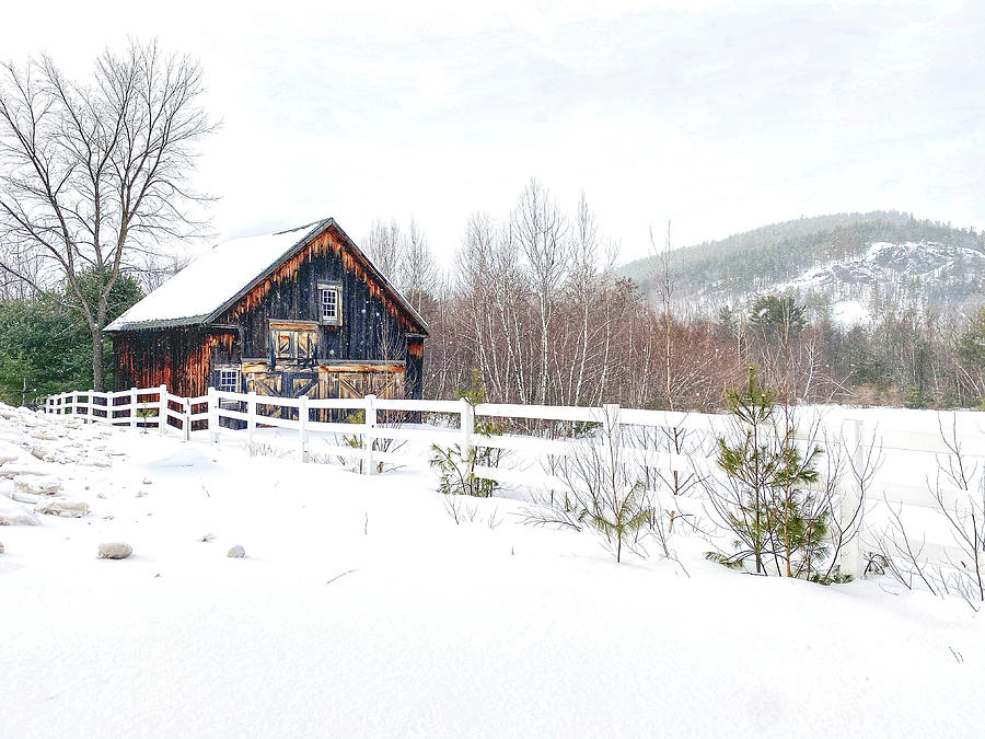 Winter Scene in New England  Photograph by Monika Salvan