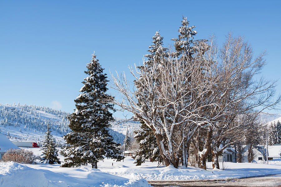 Winter scene in Spencer Idaho Photograph by Tatiana Travelways