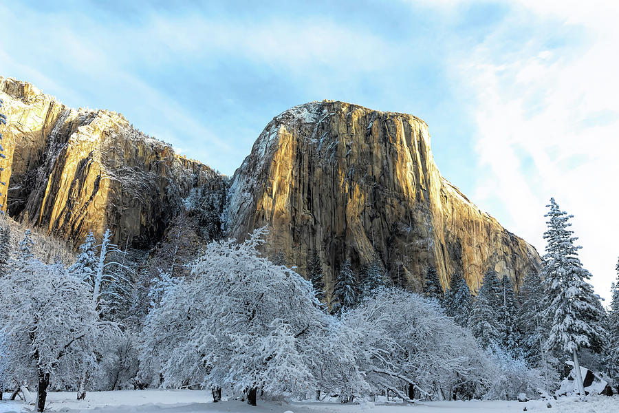 Winter Scene in Yosemite Photograph by Mark Harrington