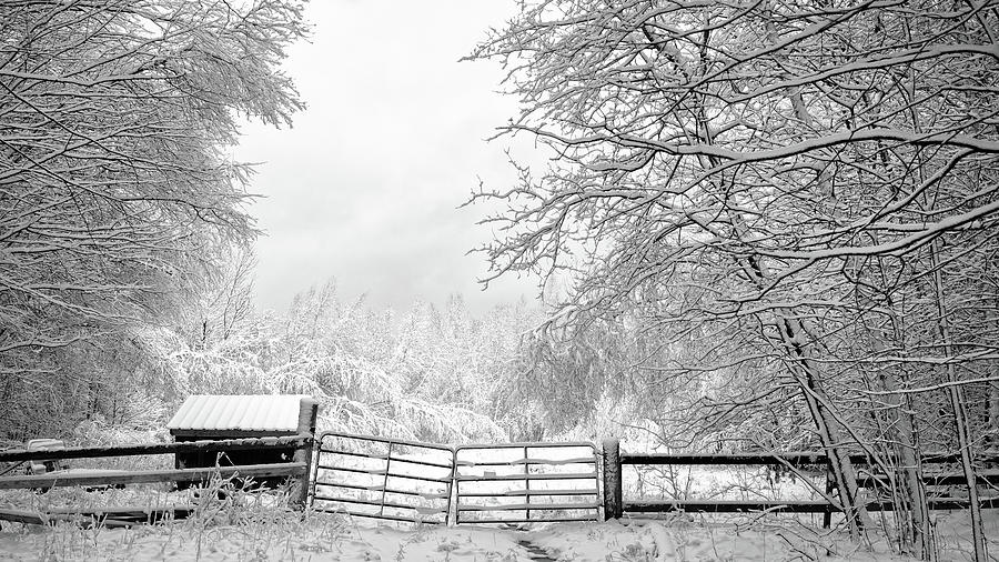 Winter Scene Photograph by Joseph Smith