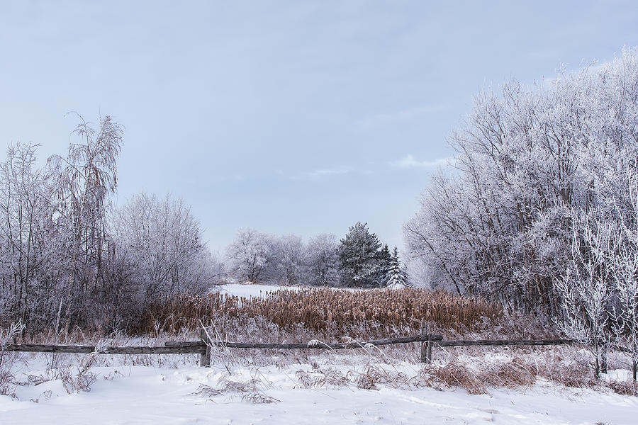Winter scene Photograph by K. D. Kirchmeier