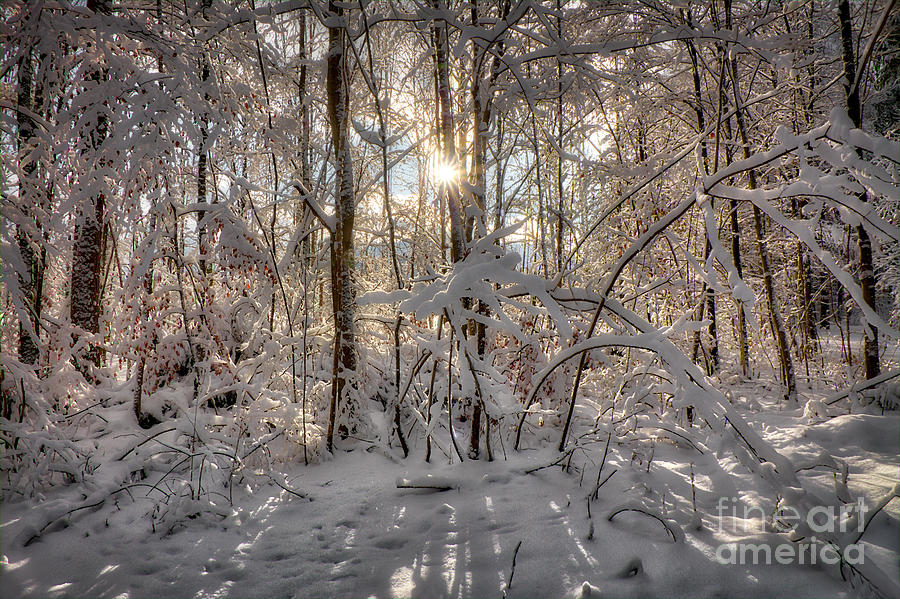 Winter Scene nr. Bad Toelz Photograph by Edmund Nagele FRPS