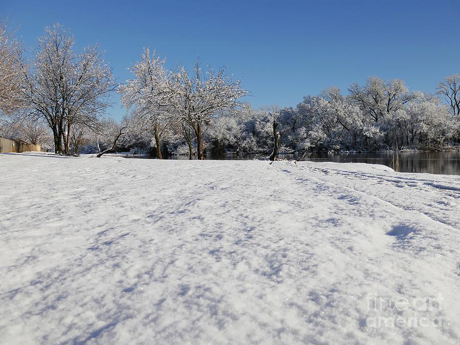 Winter Scene Photograph by On da Raks
