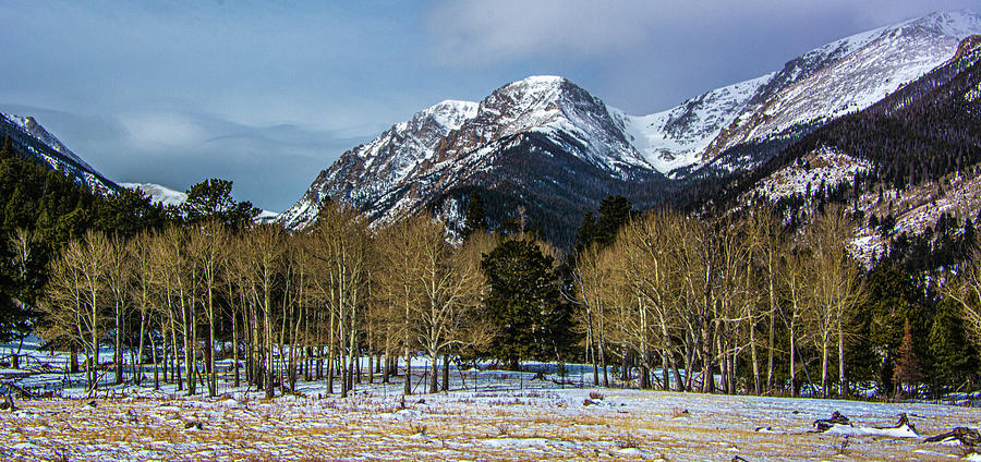 Winter Scene Rocky Mountain National Park Photograph by Douglas Wielfaert