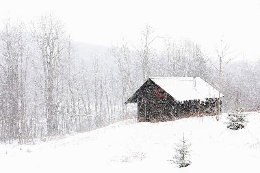 Winter Scenery At Savoy Mountain State Park Photograph
