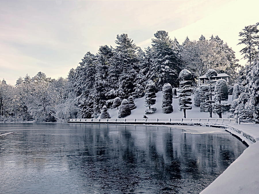 Winter Scenery Photograph by Lyuba Filatova