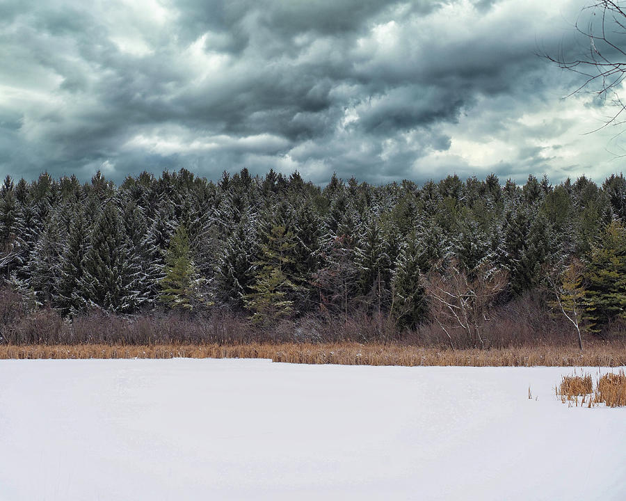 Winter Scenes I Photograph by Scott Olsen