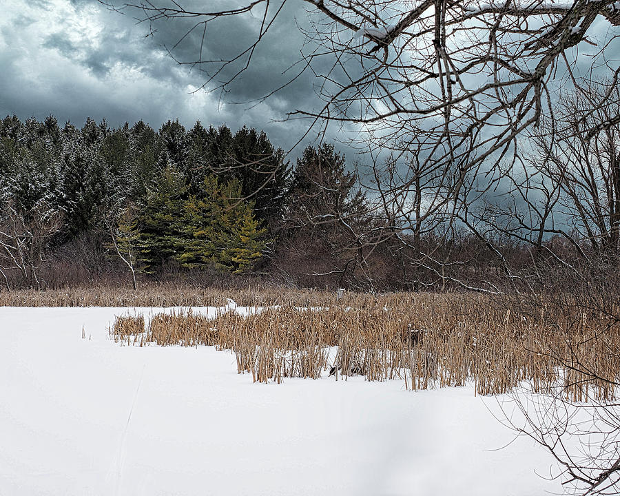 Winter Scenes II Photograph by Scott Olsen