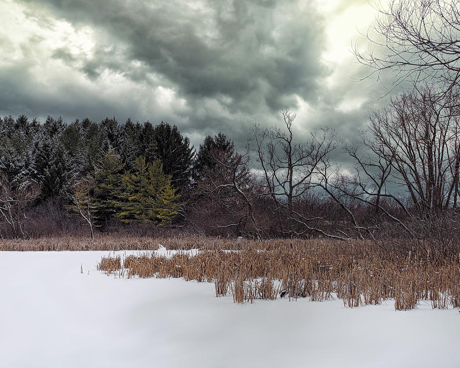 Winter Scenes III Photograph by Scott Olsen