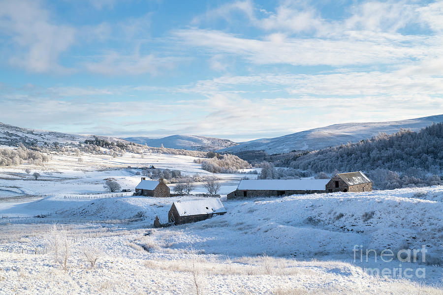 Winter Scottish Cottage Cairngorms Photograph by Tim Gainey