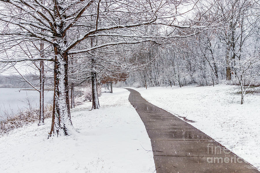 Winter Season Walkway Photograph by Jennifer White