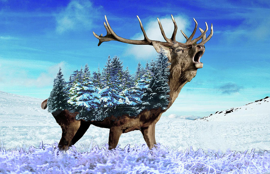 Winter Sentinel Awakens Digital Art by Glenn Holbrook