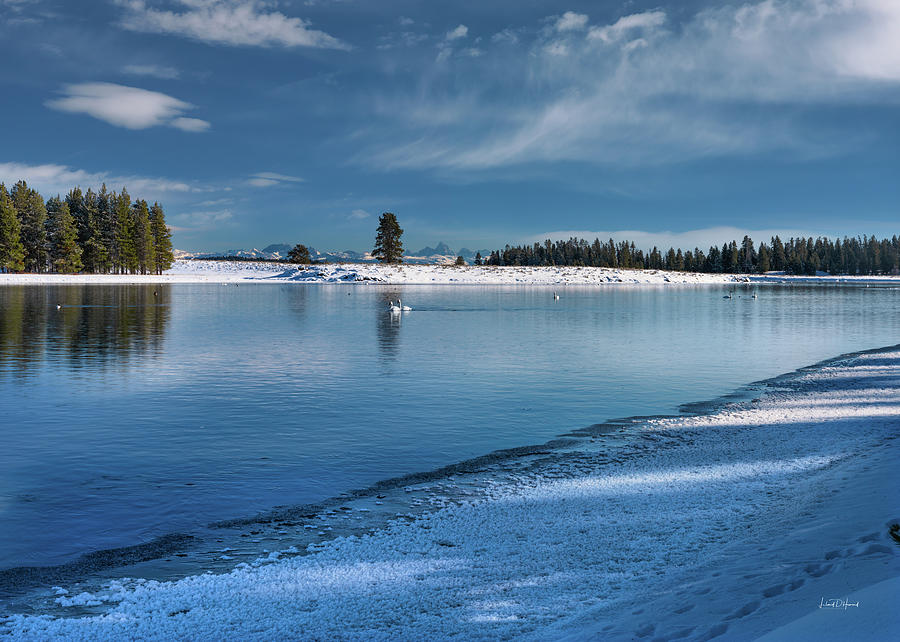 Winter Serenity Photograph by Leland D Howard