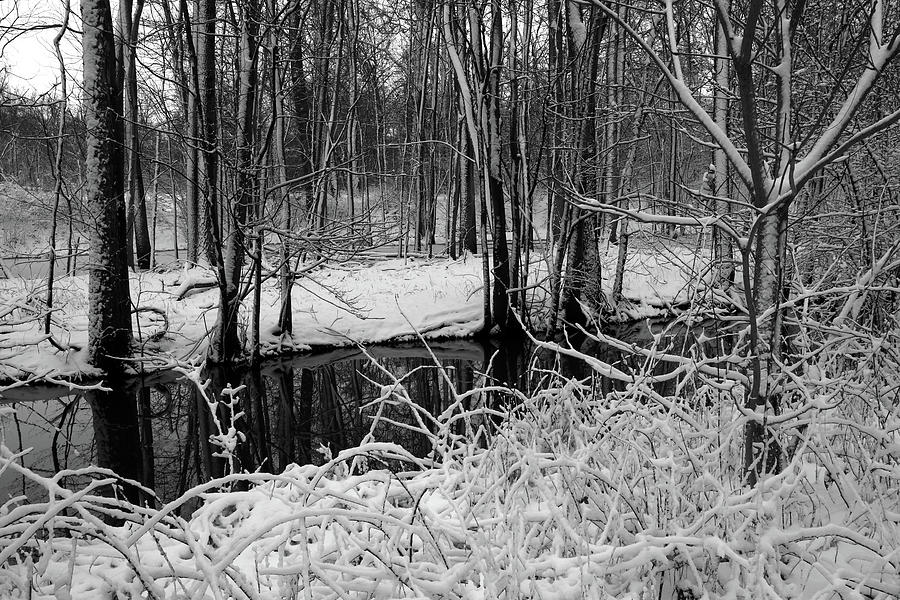 Winter Serenity Photograph by Scott Kingery