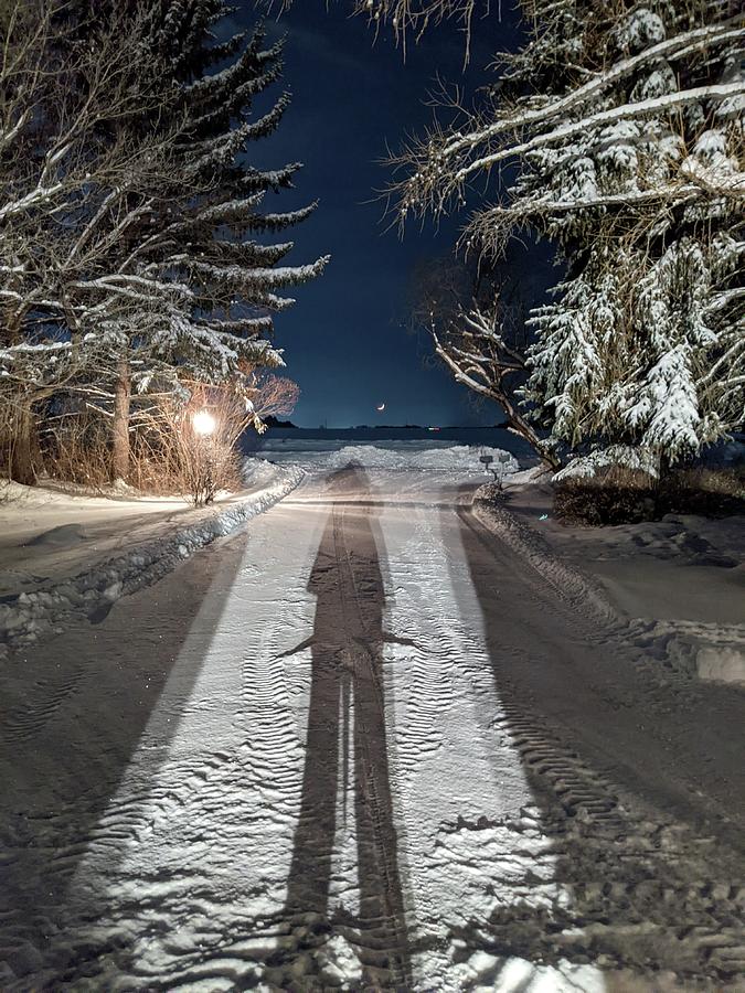 Winter shadow Photograph by Lisa Mutch