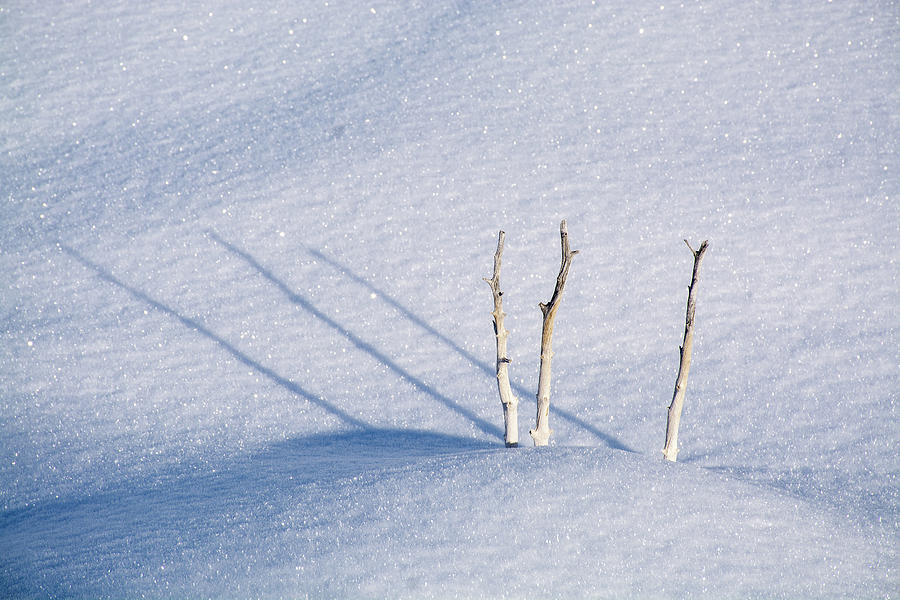 Winter Shadows in Wonderland Photograph by Bruce Gourley