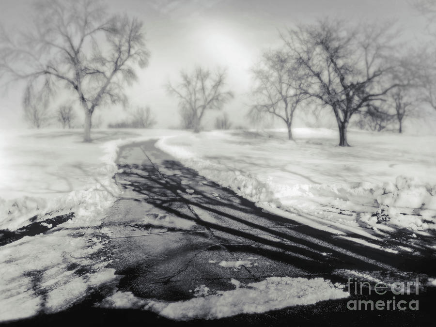 Winter Shadows Photograph by John Anderson