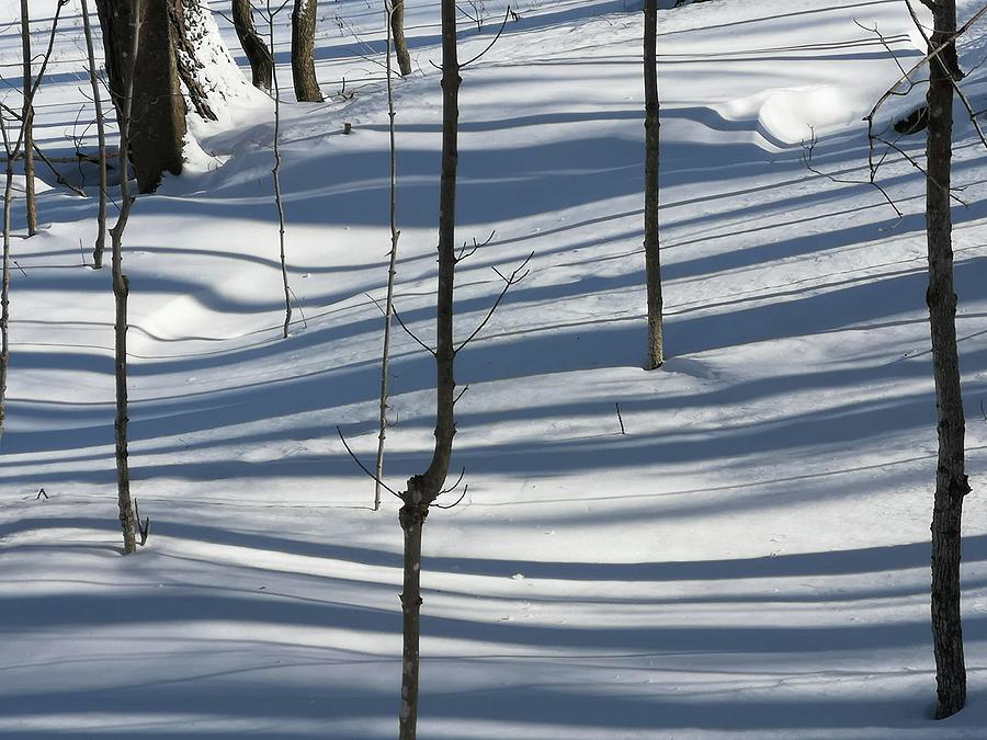 Winter Shadows Photograph by Pat Purdy
