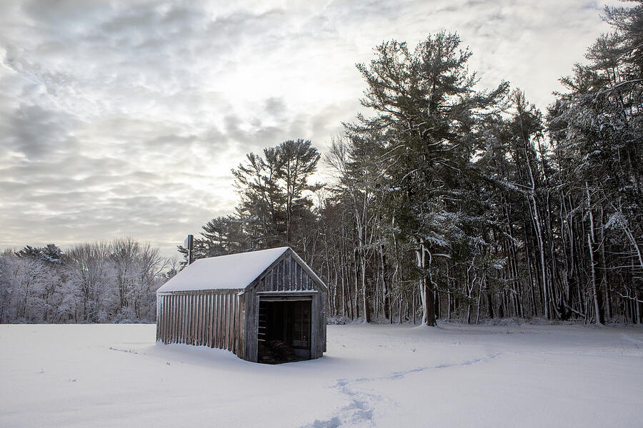 Winter Shelter I Photograph by Steven David Roberts Winter Shelter I Photograph by Steven David Roberts
