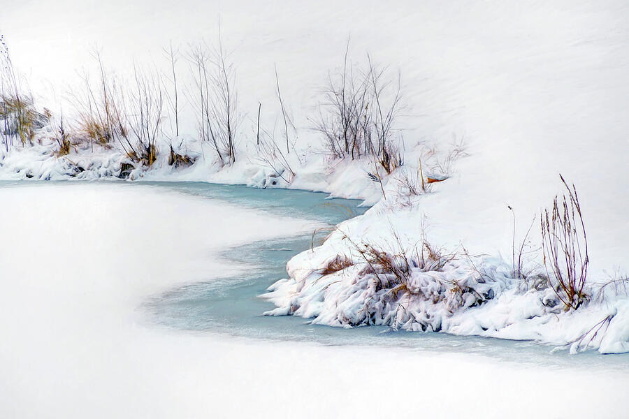 Winter Photograph - Winter Shoreline by Nikolyn McDonald