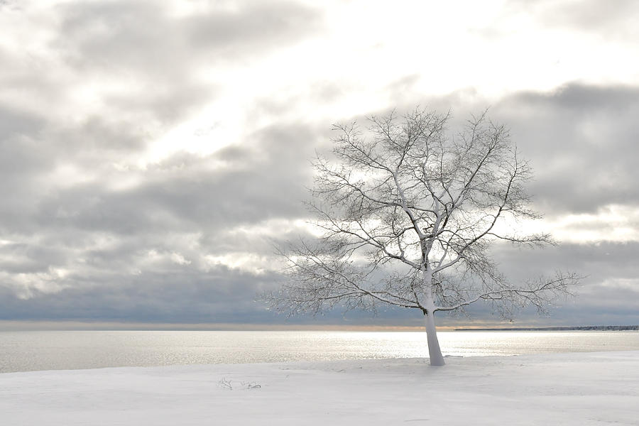 Winter Silence 1758 Photograph by Michael Peychich