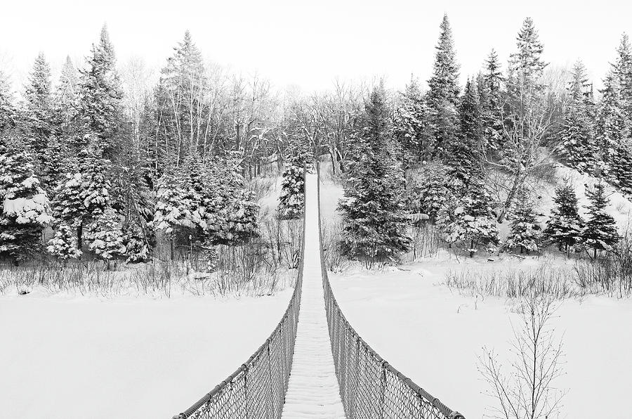 Winter Silence  Photograph by Denise LeBleu